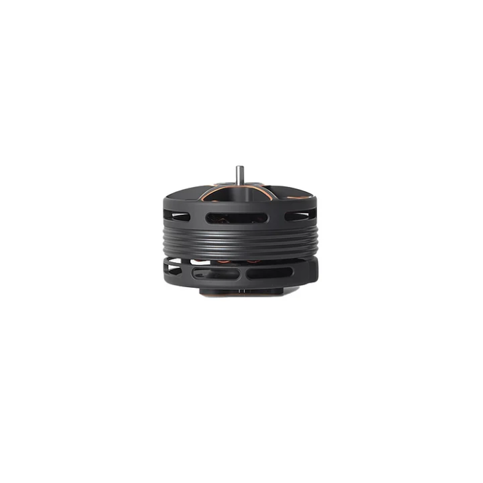 Brushless Motor  Cine30 6S